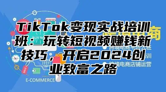 TikTok变现实战培训班：玩转短视频赚钱新技巧，开启2024创业致富之路