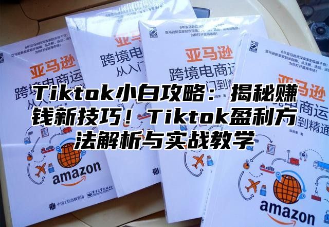 Tiktok小白攻略：揭秘赚钱新技巧！Tiktok盈利方法解析与实战教学