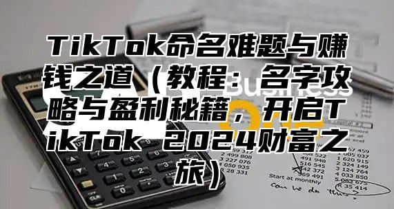 TikTok命名难题与赚钱之道（教程：名字攻略与盈利秘籍，开启TikTok 2024财富之旅）