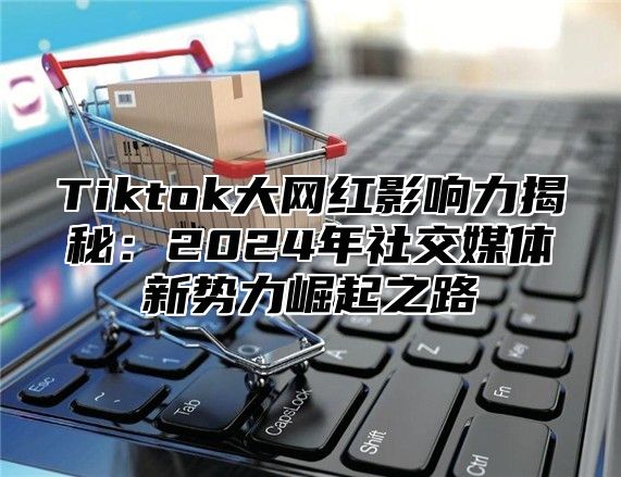 Tiktok大网红影响力揭秘：2024年社交媒体新势力崛起之路