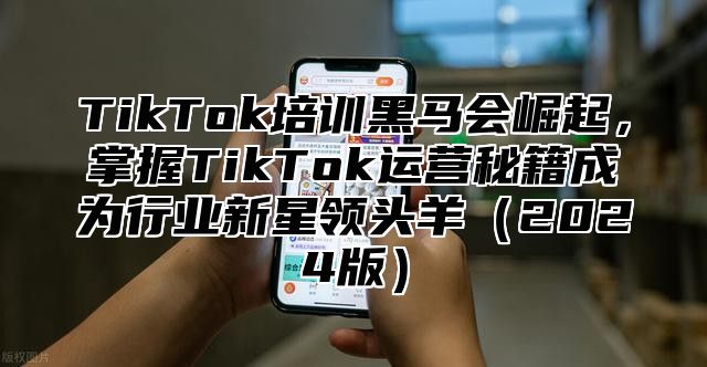 TikTok培训黑马会崛起，掌握TikTok运营秘籍成为行业新星领头羊（2024版）