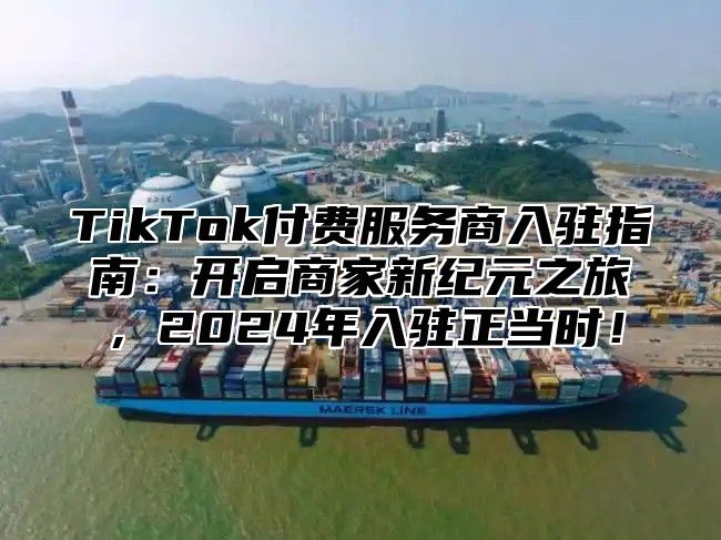 TikTok付费服务商入驻指南：开启商家新纪元之旅，2024年入驻正当时！