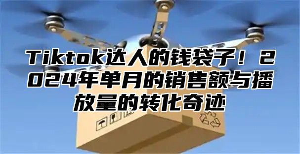 Tiktok达人的钱袋子！2024年单月的销售额与播放量的转化奇迹