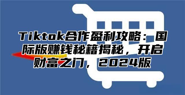 Tiktok合作盈利攻略：国际版赚钱秘籍揭秘，开启财富之门，2024版