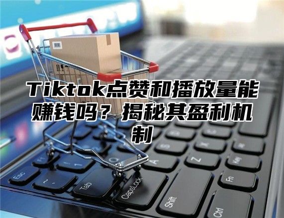 Tiktok点赞和播放量能赚钱吗？揭秘其盈利机制