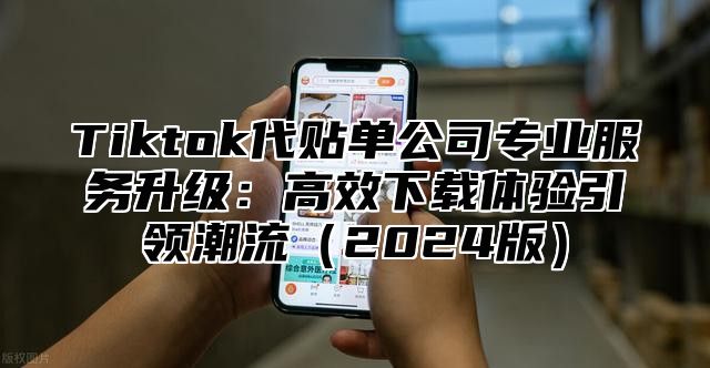 Tiktok代贴单公司专业服务升级：高效下载体验引领潮流（2024版）