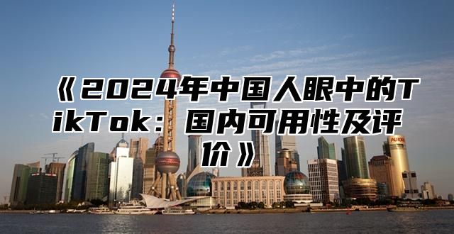 《2024年中国人眼中的TikTok：国内可用性及评价》