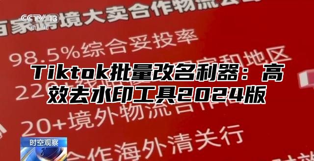 Tiktok批量改名利器：高效去水印工具2024版