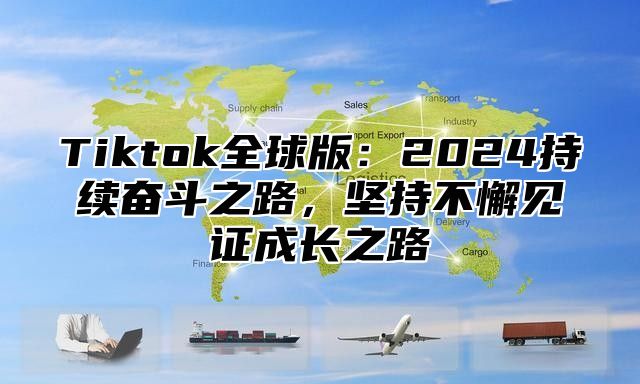 Tiktok全球版：2024持续奋斗之路，坚持不懈见证成长之路