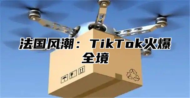 法国风潮：TikTok火爆全境