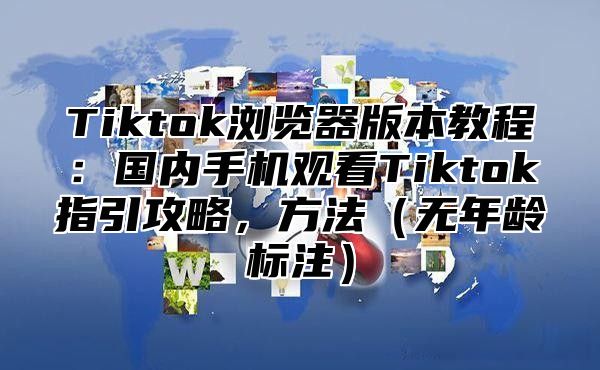 Tiktok浏览器版本教程：国内手机观看Tiktok指引攻略，方法（无年龄标注）