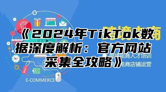 《2024年TikTok数据深度解析：官方网站采集全攻略》