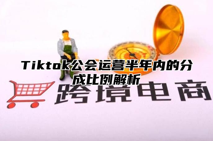 Tiktok公会运营半年内的分成比例解析