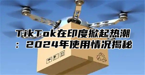 TikTok在印度掀起热潮：2024年使用情况揭秘