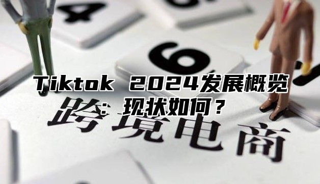 Tiktok 2024发展概览：现状如何？