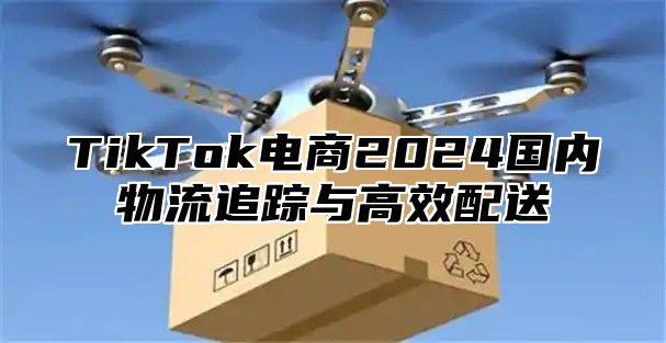 TikTok电商2024国内物流追踪与高效配送