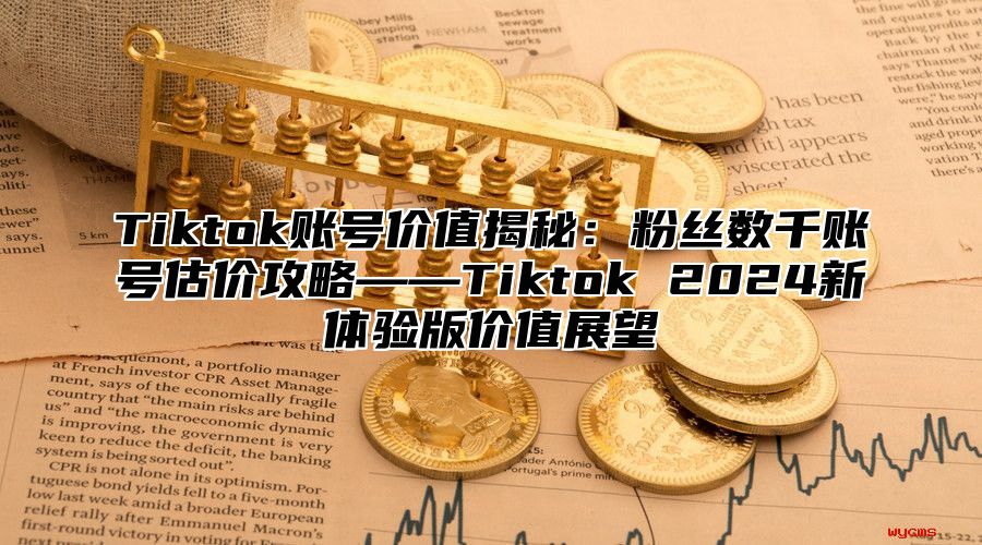 Tiktok账号价值揭秘：粉丝数千账号估价攻略——Tiktok 2024新体验版价值展望