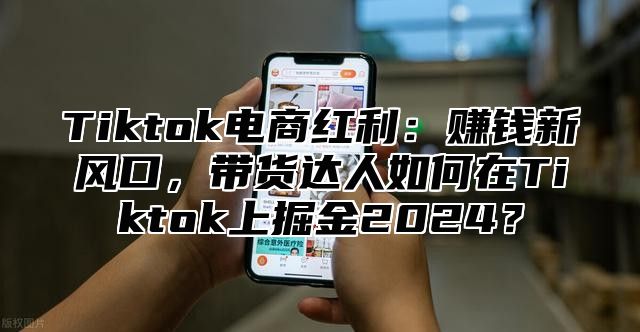 Tiktok电商红利：赚钱新风口，带货达人如何在Tiktok上掘金2024？