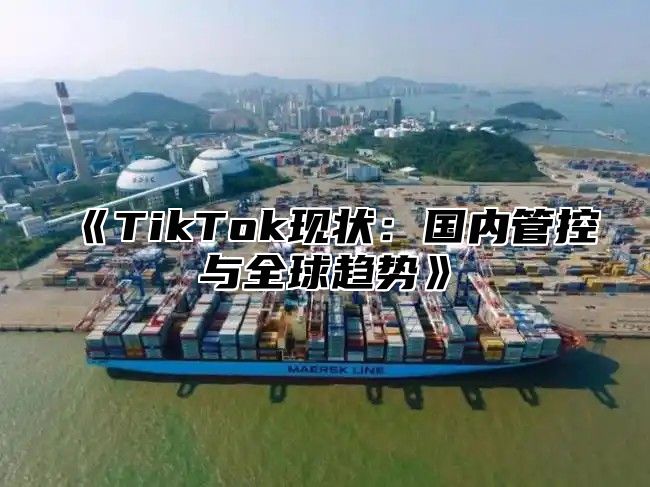 《TikTok现状：国内管控与全球趋势》