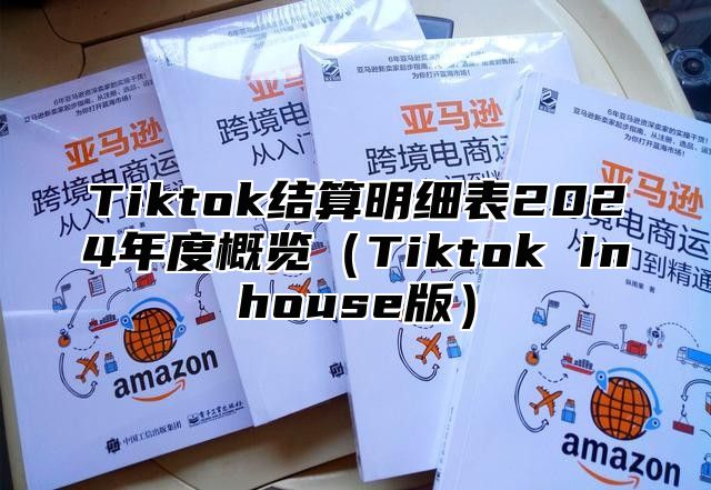 Tiktok结算明细表2024年度概览（Tiktok Inhouse版）