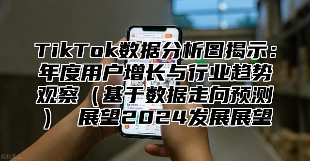 TikTok数据分析图揭示：年度用户增长与行业趋势观察（基于数据走向预测） 展望2024发展展望