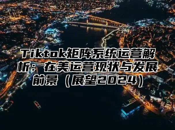 Tiktok矩阵系统运营解析：在美运营现状与发展前景（展望2024）