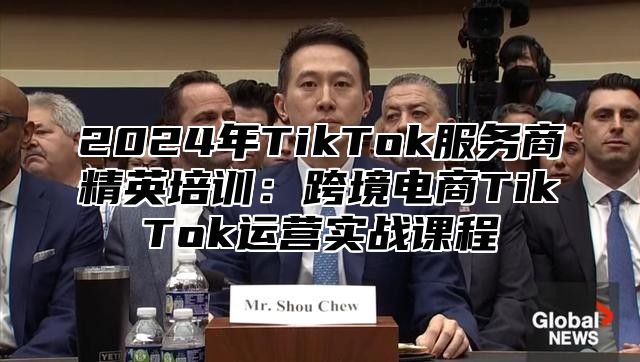 2024年TikTok服务商精英培训：跨境电商TikTok运营实战课程