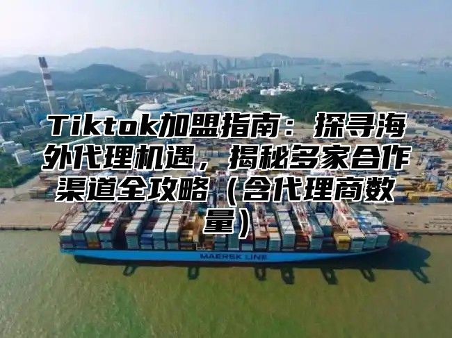 Tiktok加盟指南：探寻海外代理机遇，揭秘多家合作渠道全攻略（含代理商数量）