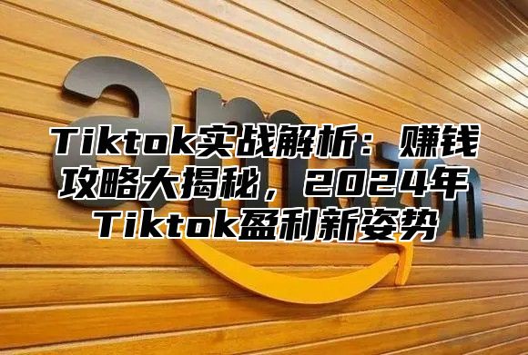 Tiktok实战解析：赚钱攻略大揭秘，2024年Tiktok盈利新姿势