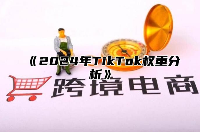 《2024年TikTok权重分析》