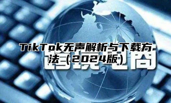 TikTok无声解析与下载方法（2024版）