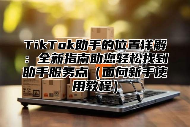 TikTok助手的位置详解：全新指南助您轻松找到助手服务点（面向新手使用教程）