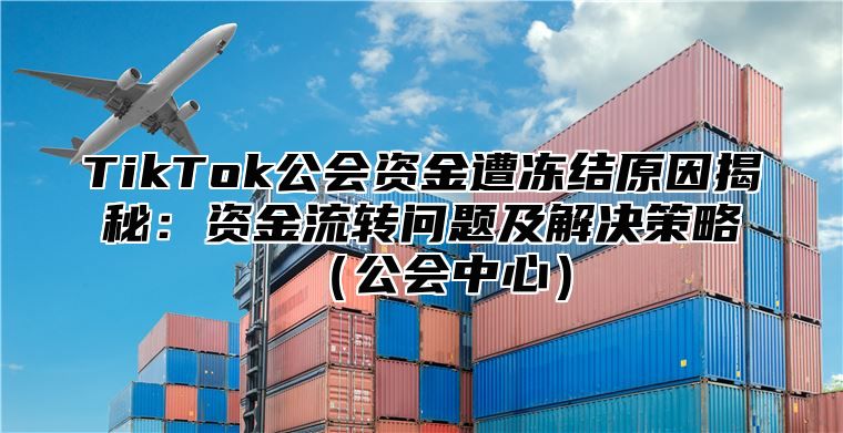 TikTok公会资金遭冻结原因揭秘：资金流转问题及解决策略（公会中心）