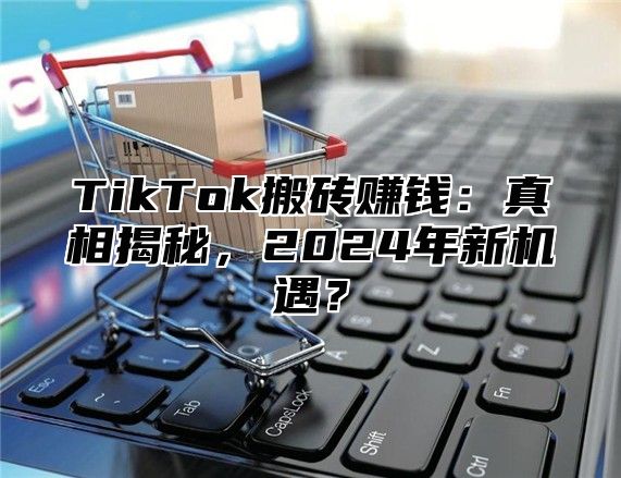 TikTok搬砖赚钱：真相揭秘，2024年新机遇？