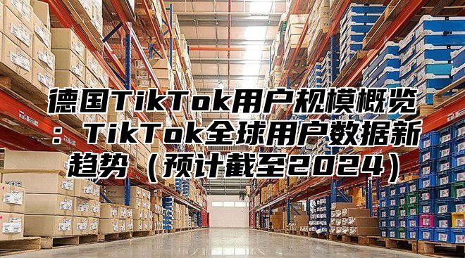 德国TikTok用户规模概览：TikTok全球用户数据新趋势（预计截至2024）